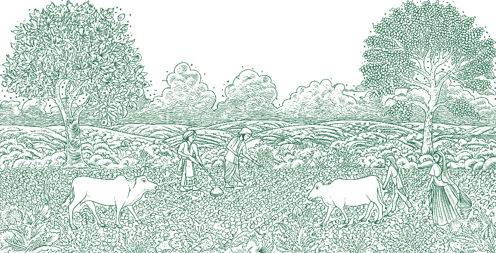 Rural Landscape